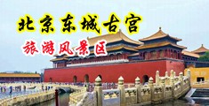 大鸡巴捅逼操逼中国北京-东城古宫旅游风景区